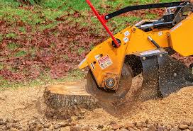 Best Pest Control for Lawns  in Defiance, OH