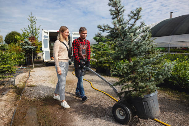 How Our Tree Care Process Works  in  Defiance, OH