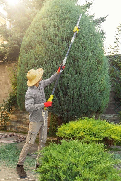 Best Pest Control for Lawns  in Defiance, OH